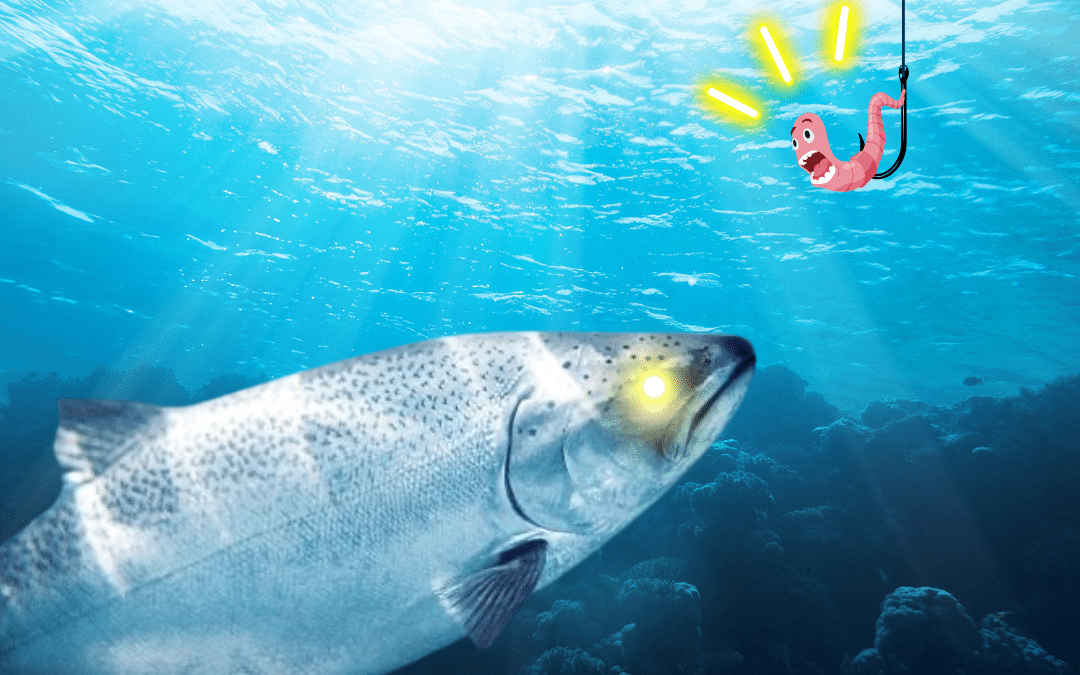 Fishing Season on the Island