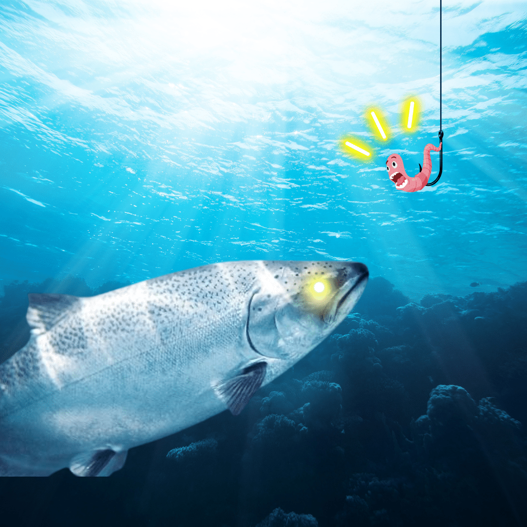 Fishing Season on the Island: What You Need & Where to Stay