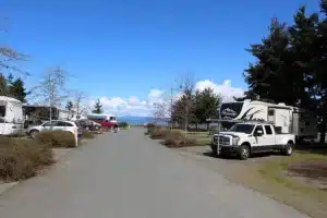 Hook Up & Hang Out: Park Sands RV Resort