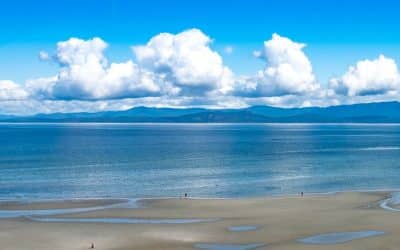 Hook Up & Hang Out: Parksville’s Top 5 RV Parks and Nearby Bites