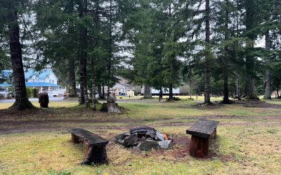 Sayward Valley Resort: A Hidden Gem on Vancouver Island