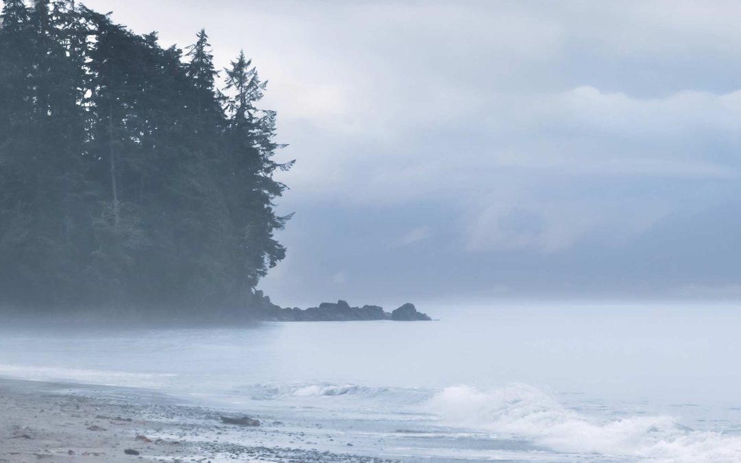 Cozy Up This Winter On Vancouver Island