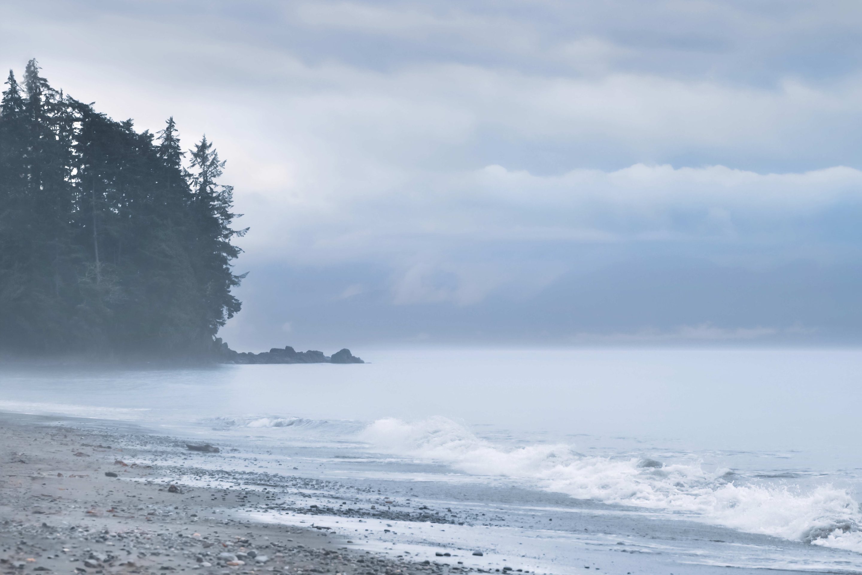 Misty coastal scene with gentle waves washing onto a rocky beach. A forested point of land extends into the ocean, shrouded in fog under a soft, overcast sky, creating a tranquil and moody atmosphere ideal for storm watching.