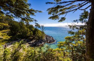 Vancouver Island, Top 5 Tips for Camping in an RV 