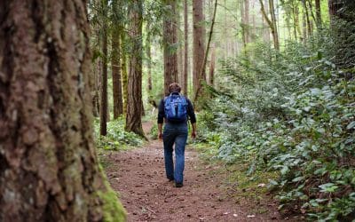 Top Hiking Trails Near Your Campsite on Vancouver Island