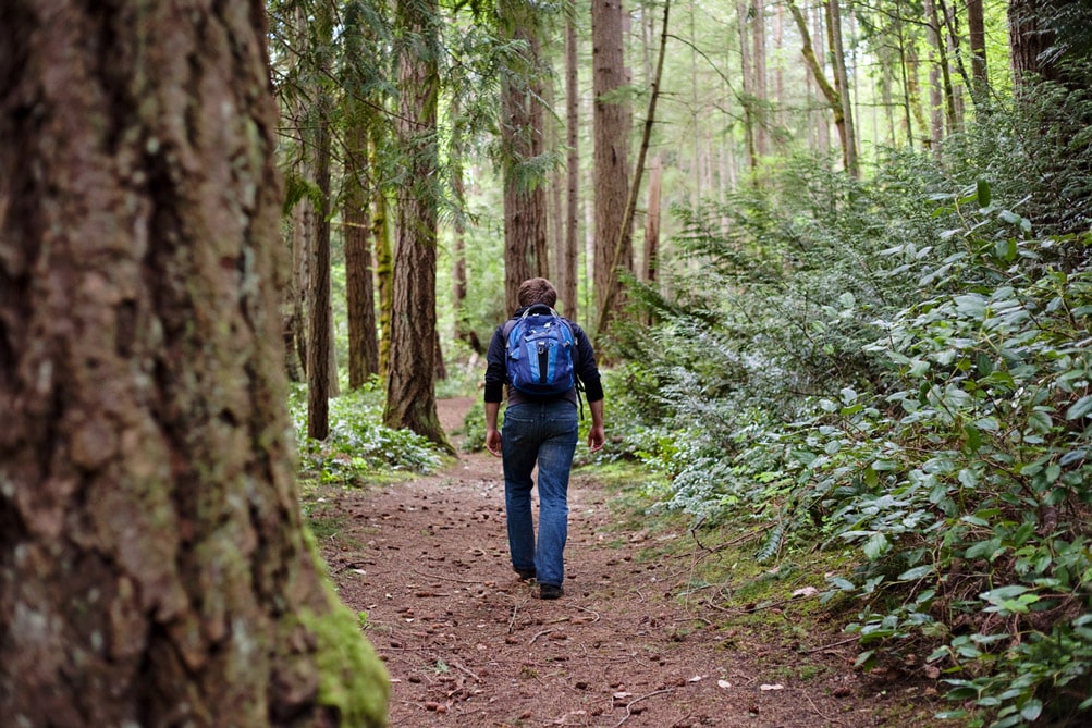 Top Hiking Trails Near Your Campsite on Vancouver Island