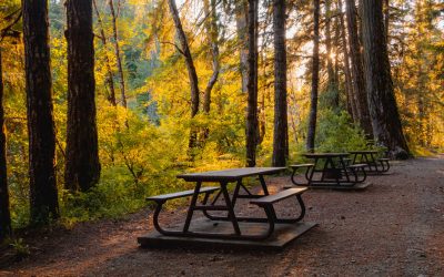 Top 10 Campsites on Vancouver Island for RV Camping